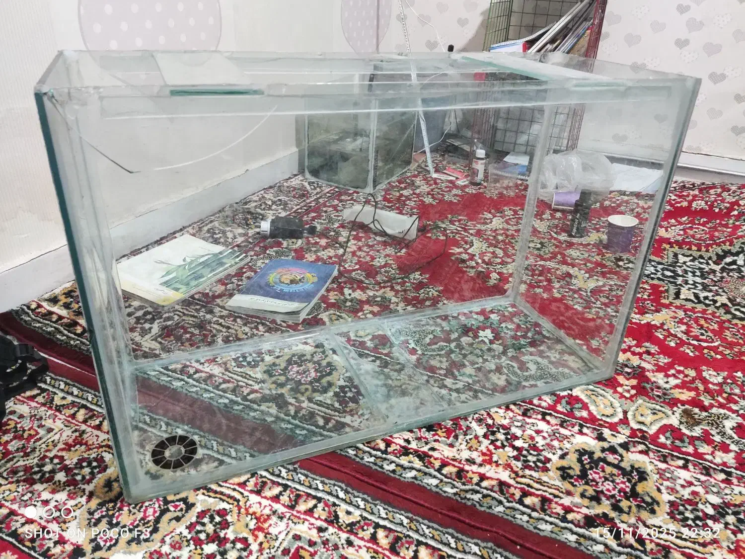 اکواریوم|ماهی|خوی, |دیوار