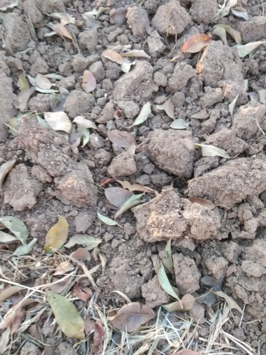 مدارک شناسایی|اشیا|قزوین, |دیوار