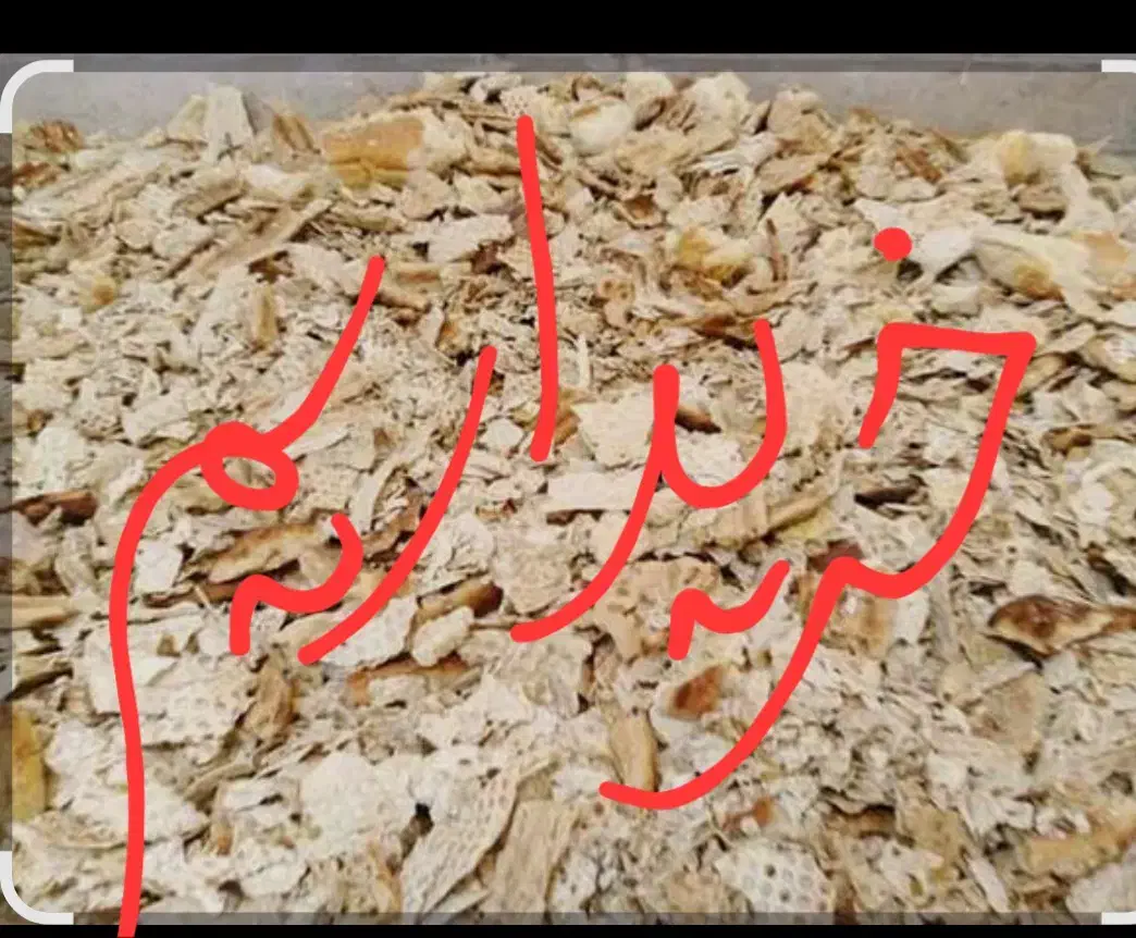 نان خشک|لوازم جانبی حیوانات|مشهد, کوشش|دیوار