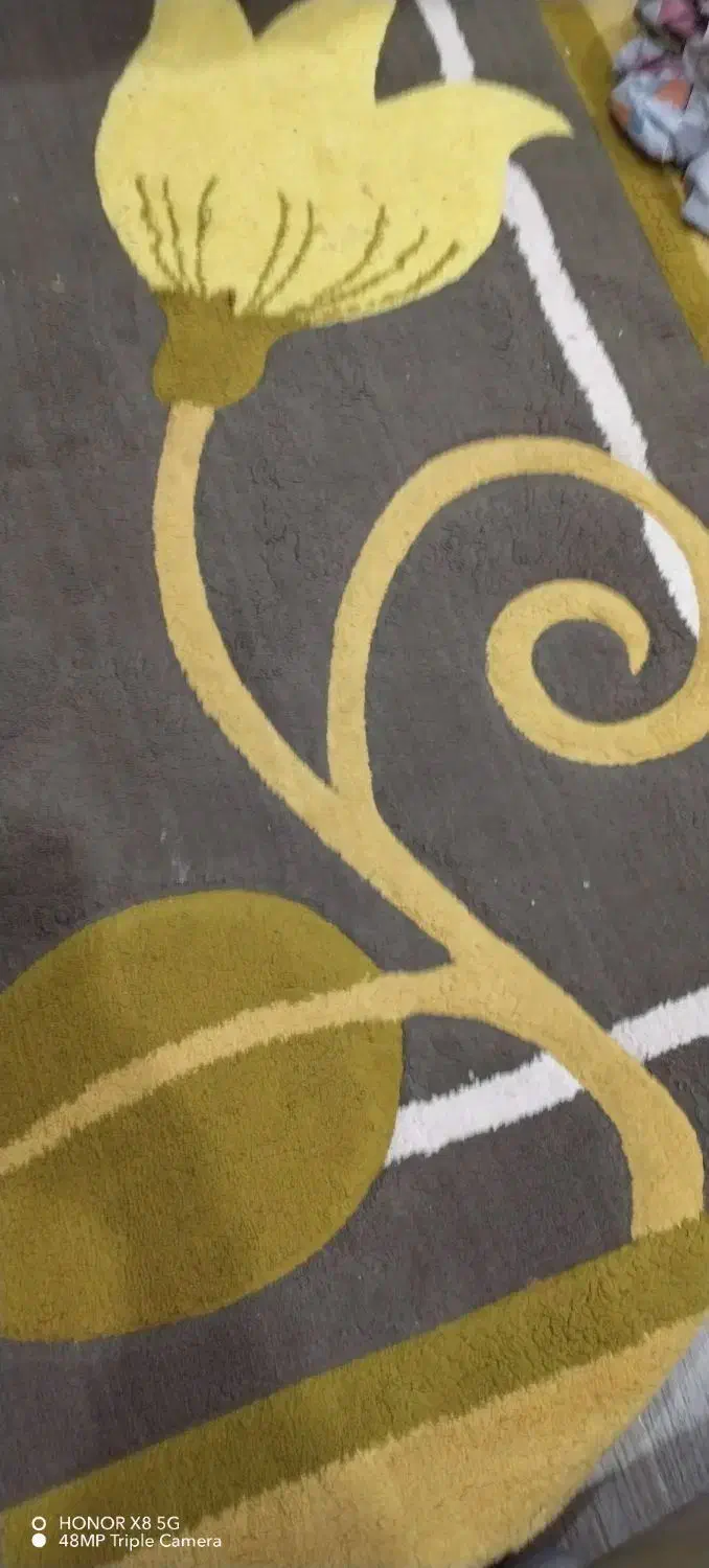 دو عدد قالی|فرش|چمران, |دیوار