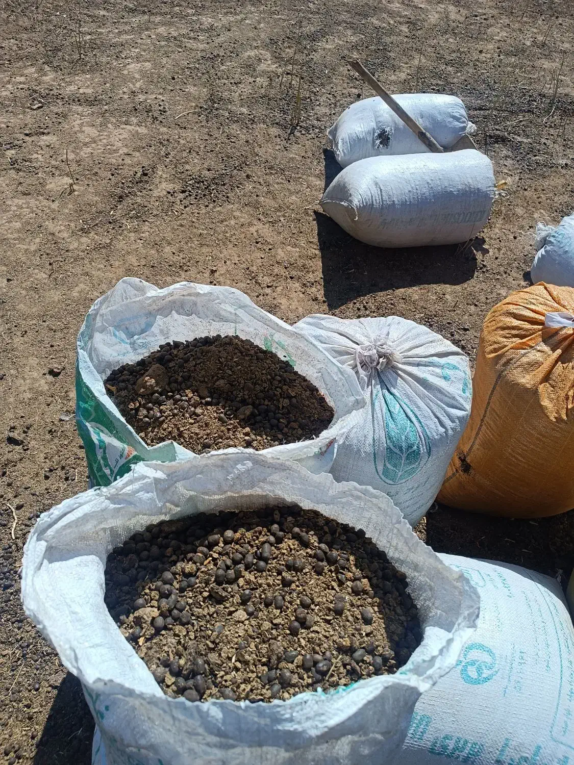 کود گوسفندی درجه یک|خدمات باغبانی و درختکاری|طالقان, |دیوار