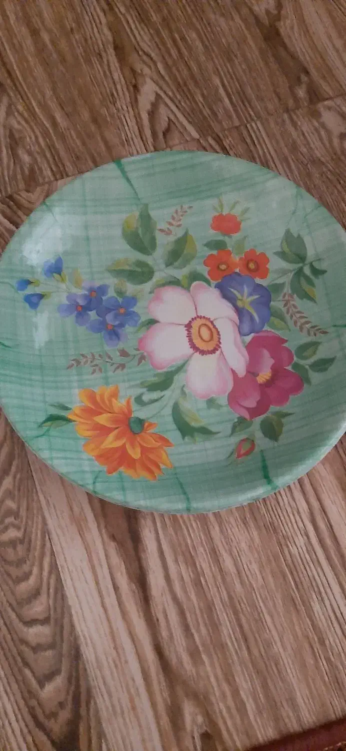 سینی مستطیل|ظروف نگهدارنده، پلاستیکی، یک‌بارمصرف|مراغه, |دیوار