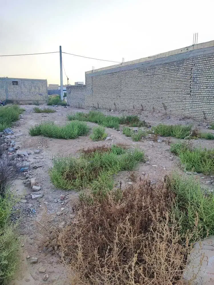 زمین ۱۸۵ متری کوی فدک|فروش زمین و ملک کلنگی|اهواز, فدک|دیوار