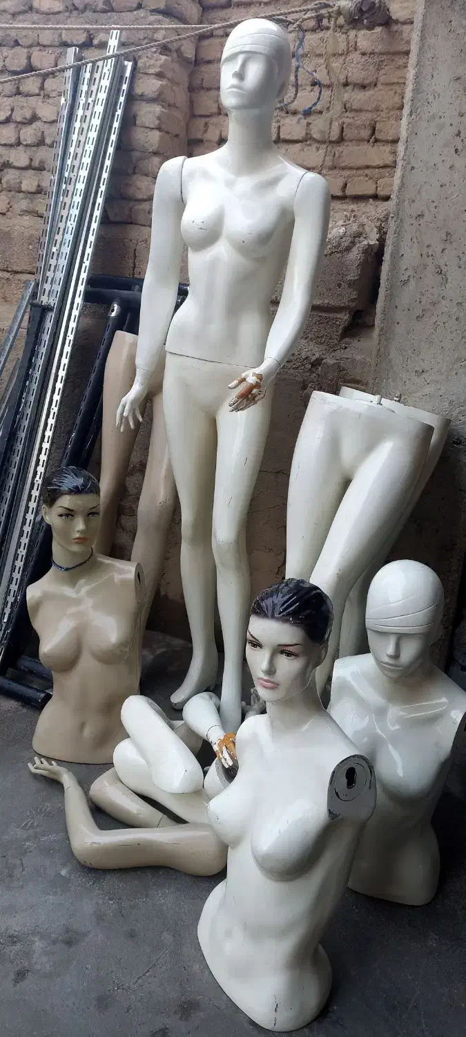 مانکن . رگال . دزد گیر|فروشگاه و مغازه|میاندوآب, |دیوار