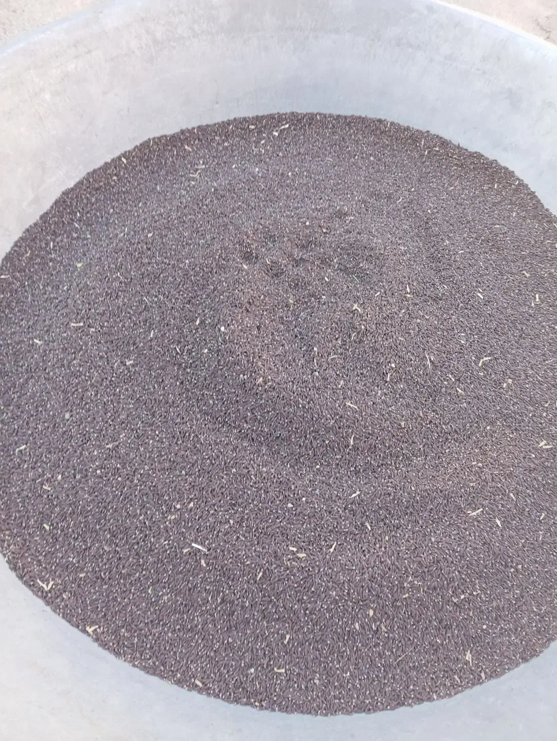 کنجد سیاه|خوردنی و آشامیدنی|فیروزآباد (لرستان), |دیوار