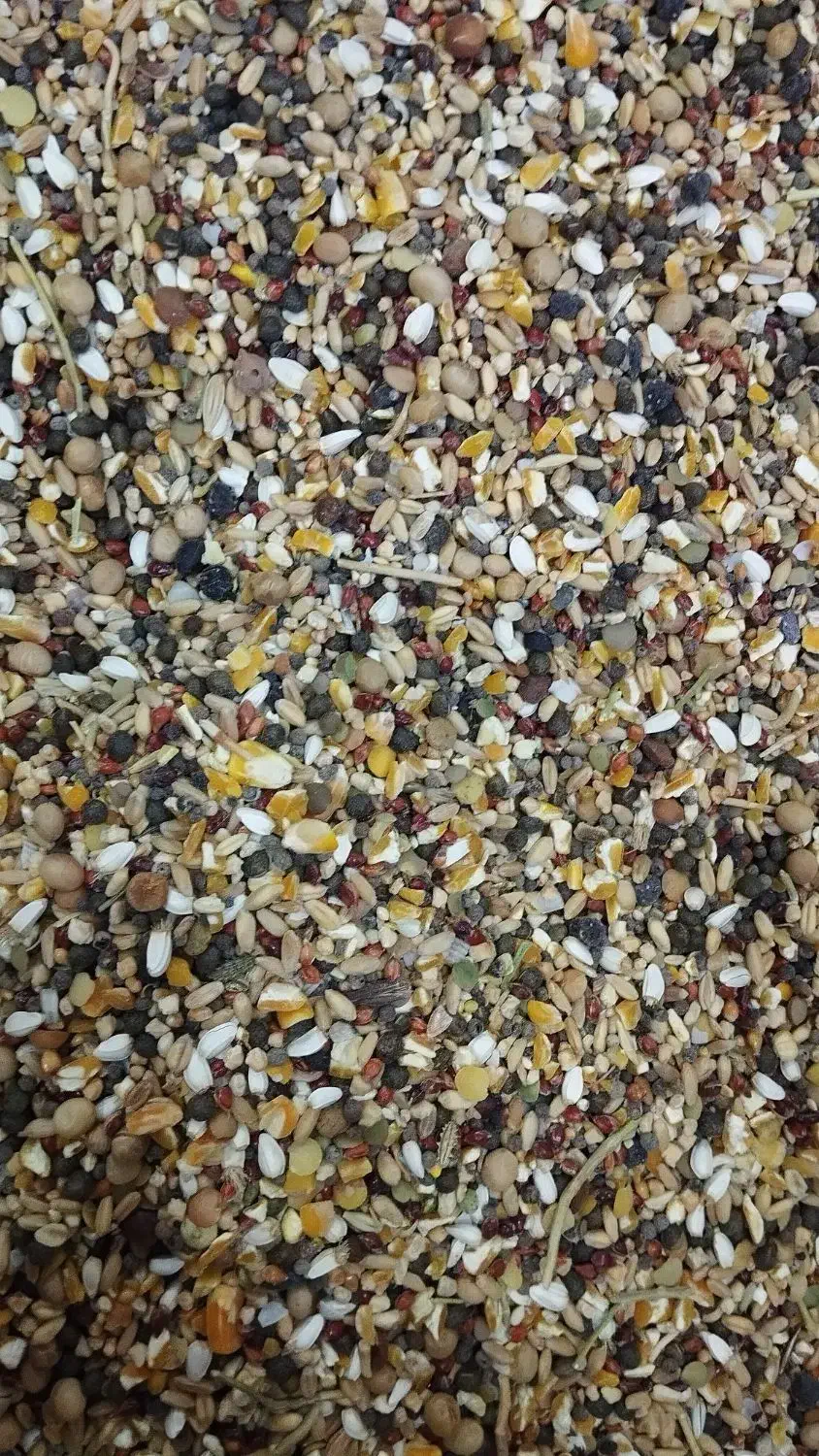 بورس خوراک پرندگان ( گل دانه)|لوازم جانبی حیوانات|قم, فرهنگیان و شهربانی|دیوار