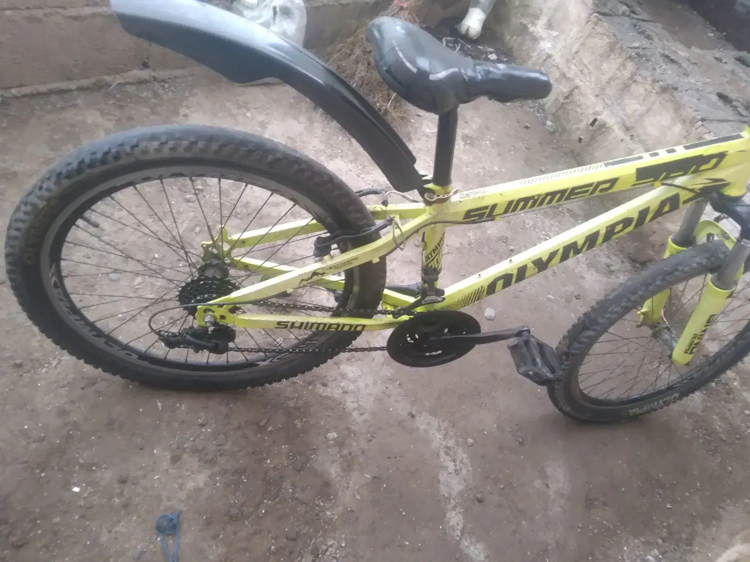 دوچرخه ۲۴ سالم سبز|دوچرخه، اسکیت، اسکوتر|آستانه اشرفیه, |دیوار