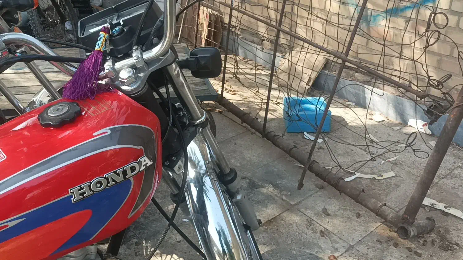 پرنده|پرنده|سوسنگرد, |دیوار