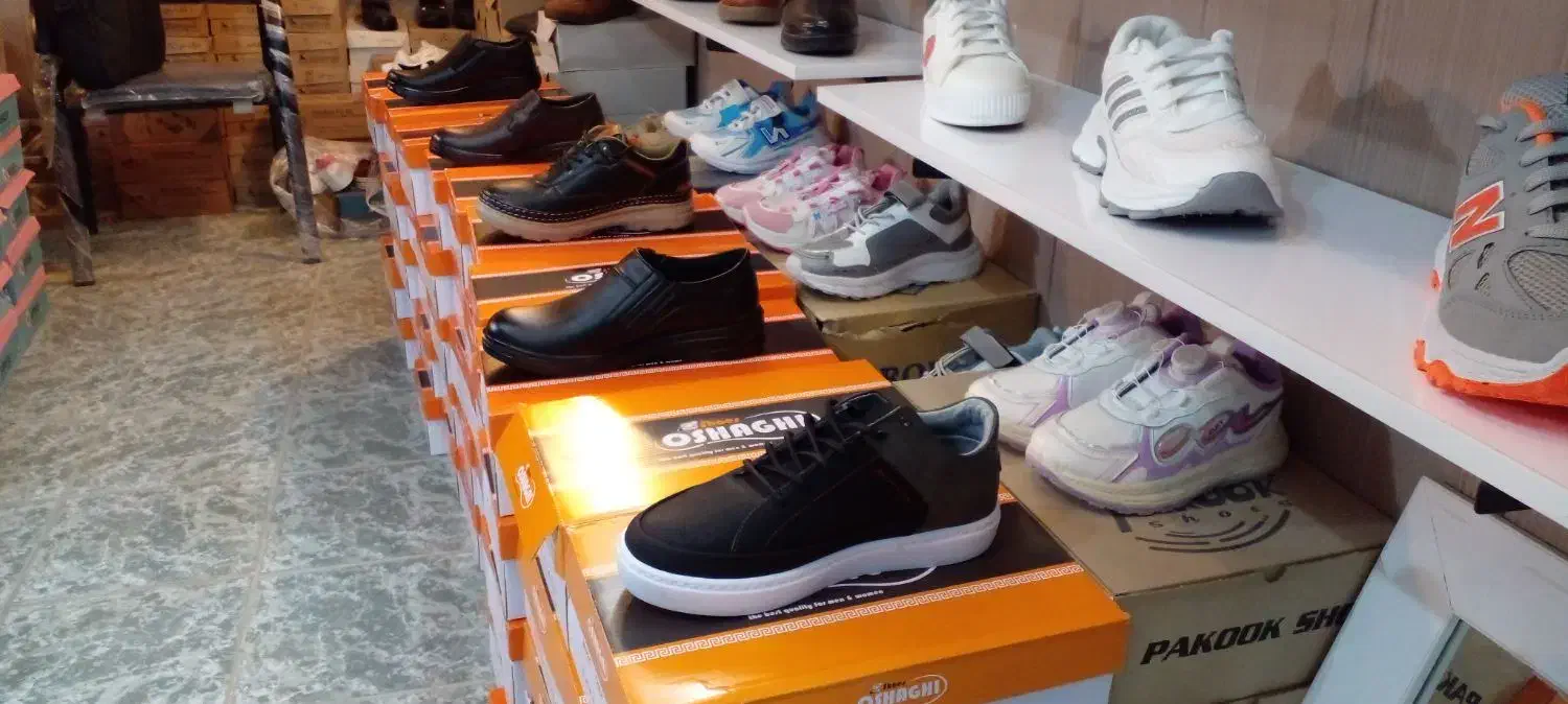 کفش البرز هورس دورنگ|کیف، کفش، کمربند|داراب, |دیوار