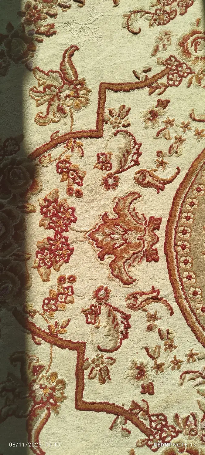 دو عدد قالی|فرش|اهواز, زردشت|دیوار