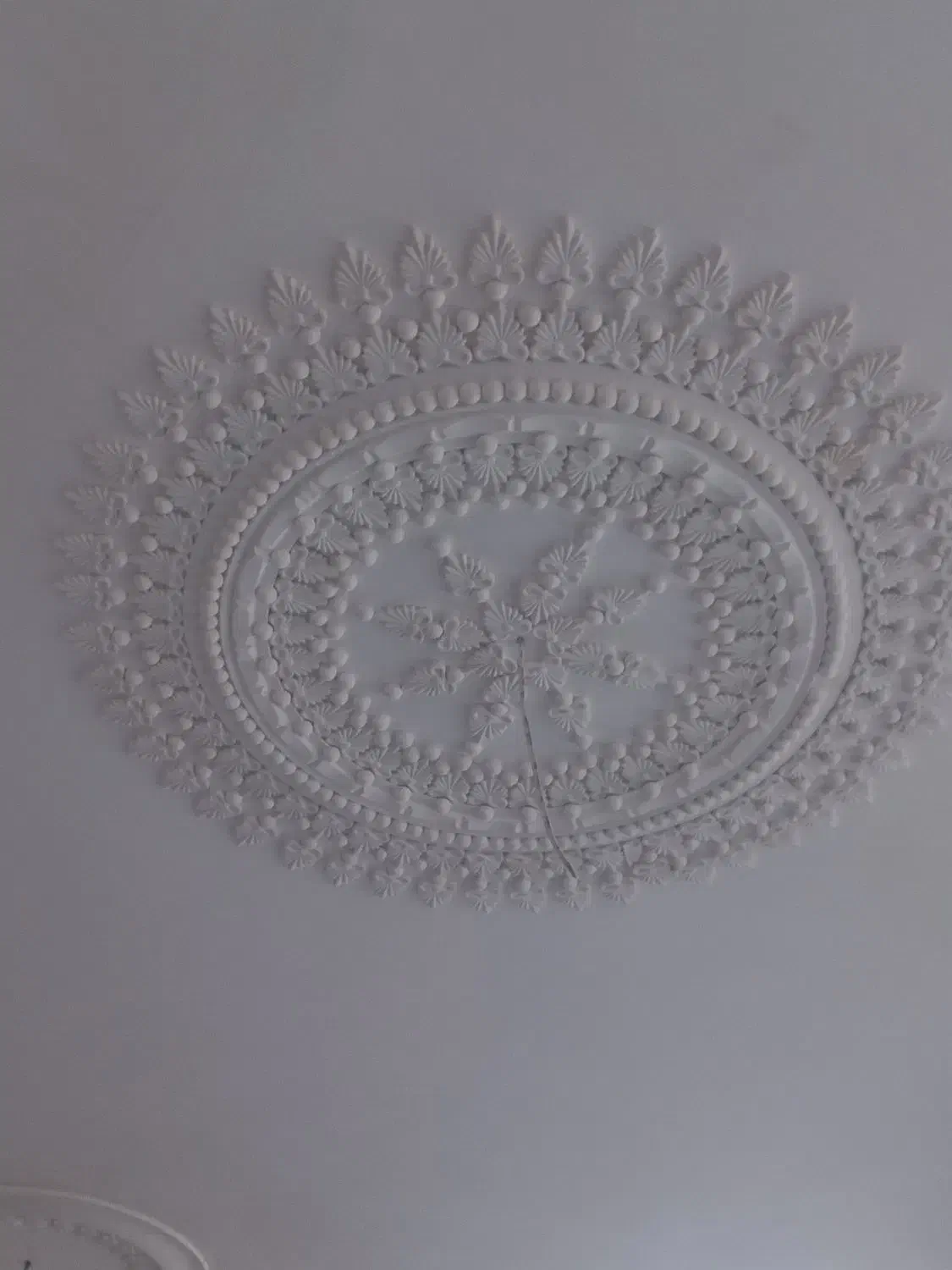 منزل اجاره ای|اجارهٔ خانه و ویلا|رفسنجان, |دیوار