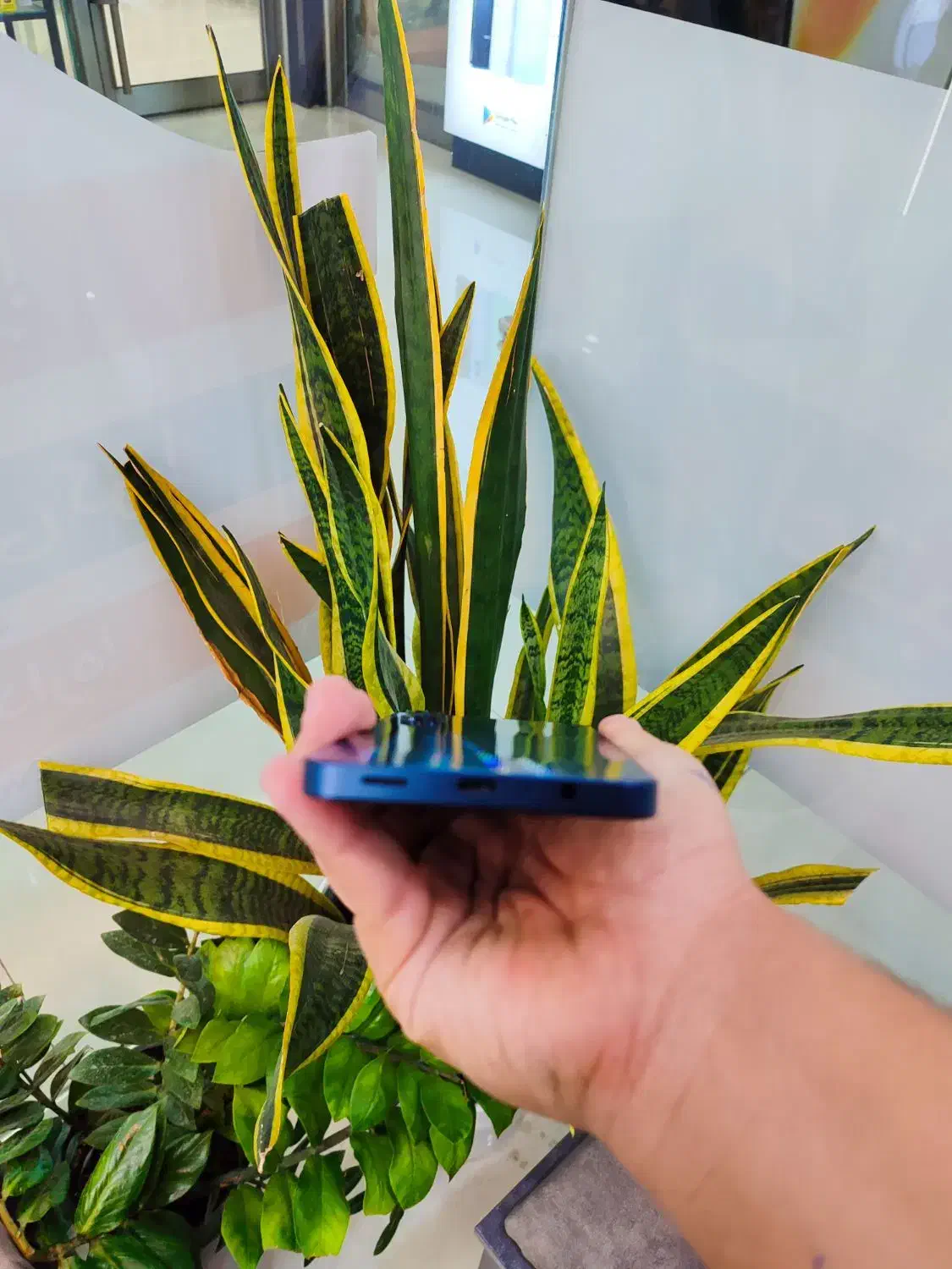 گوشی سامسونگ A06 رنگ مشکی با شرایط اقساطی|موبایل|اصفهان, مفتح|دیوار