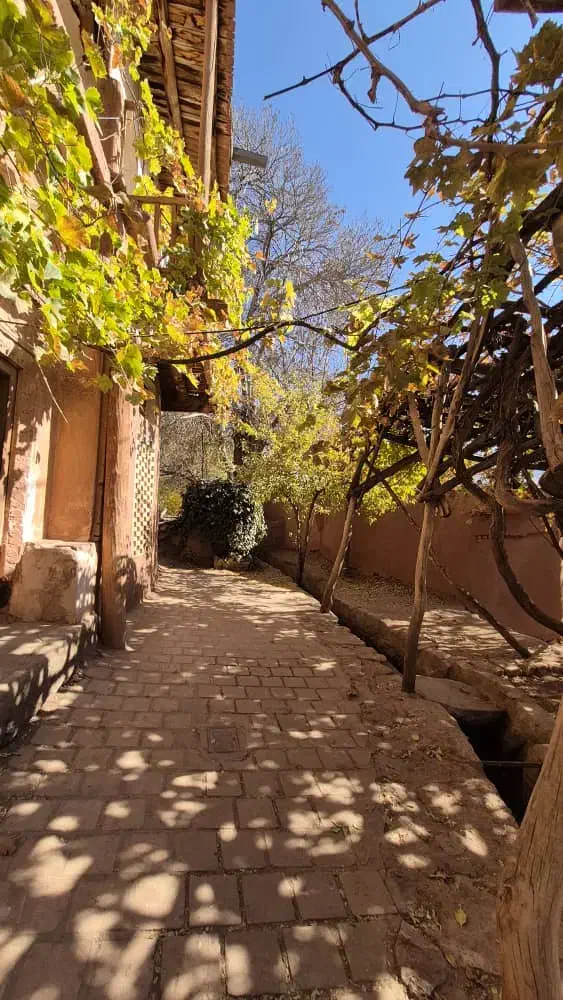 گم شدن کیف پول|اشیا|شهرکرد, |دیوار