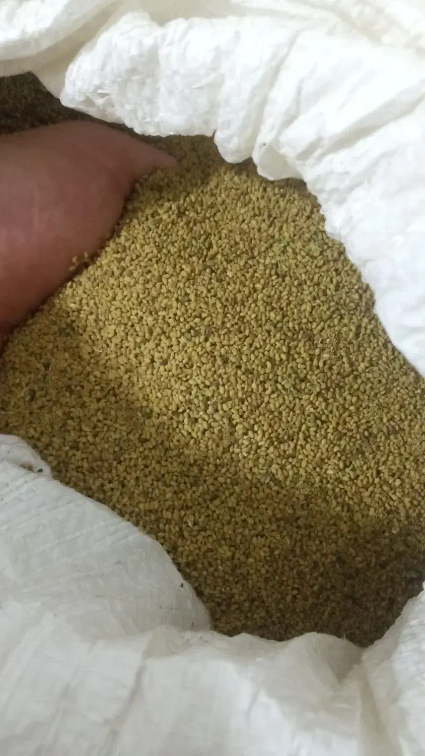 بذر یونجه درجه یک|خدمات باغبانی و درختکاری|میاندوآب, |دیوار