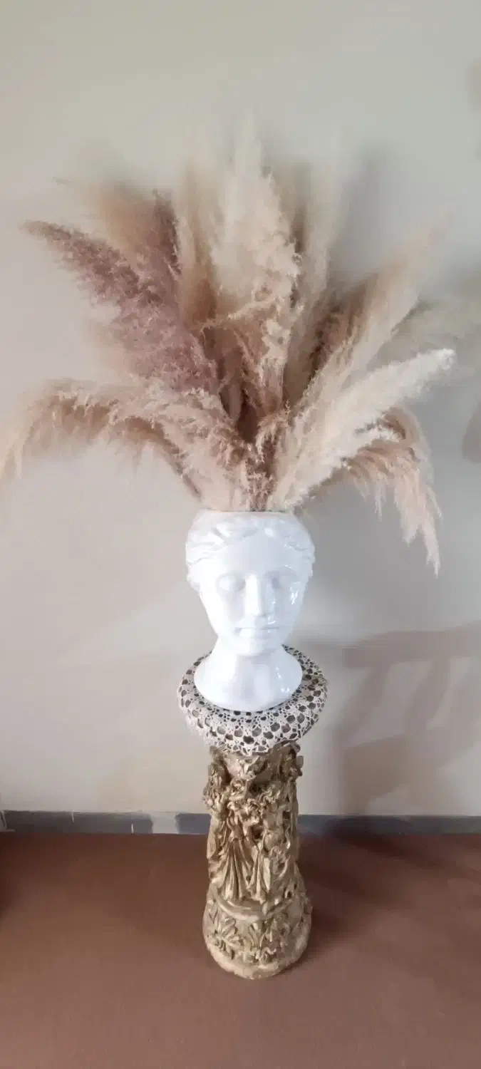 گل پامپاس|گل مصنوعی|همدان, |دیوار