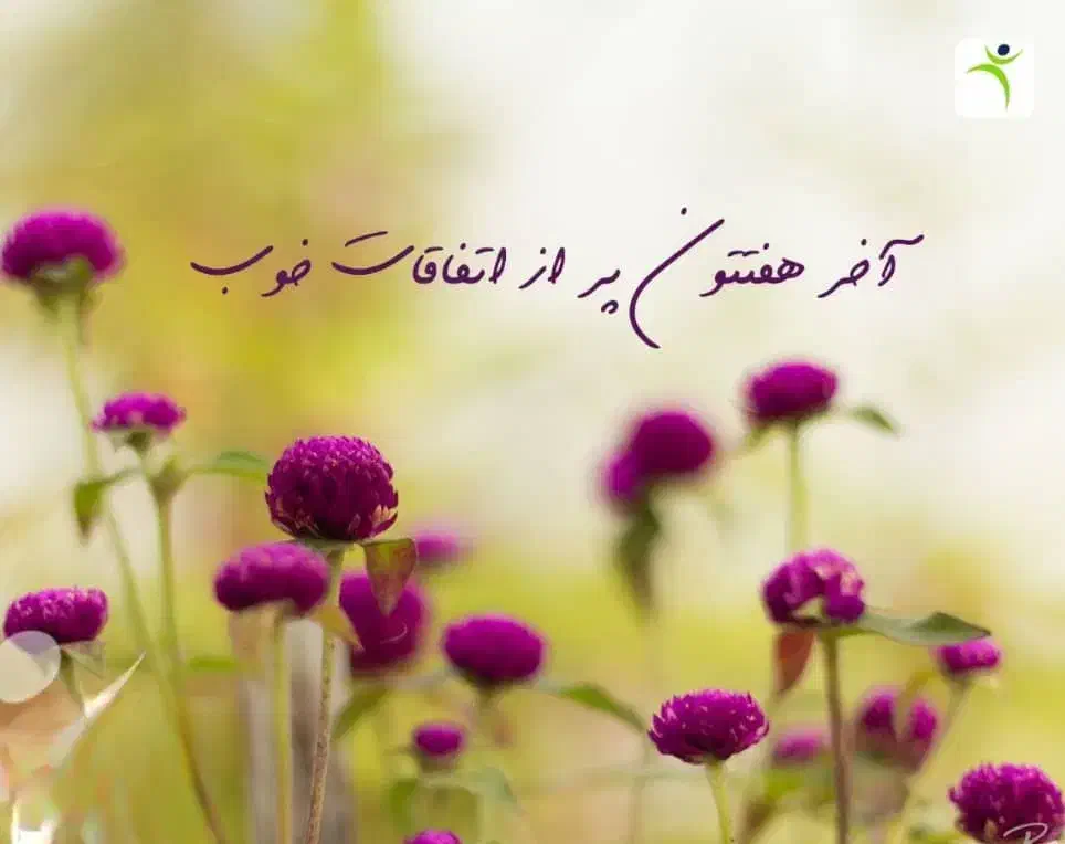 مدارک گم شده|اشیا|یزد, |دیوار