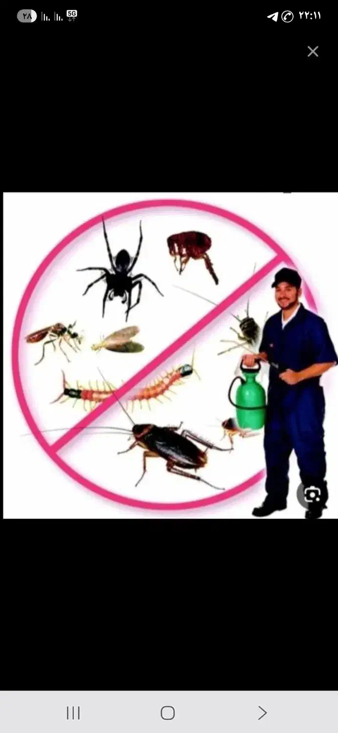 شرکت سمپاشی و خدمات بهداشتی و سم پاشی حشرات منازل|خدمات نظافت|اردبیل, |دیوار