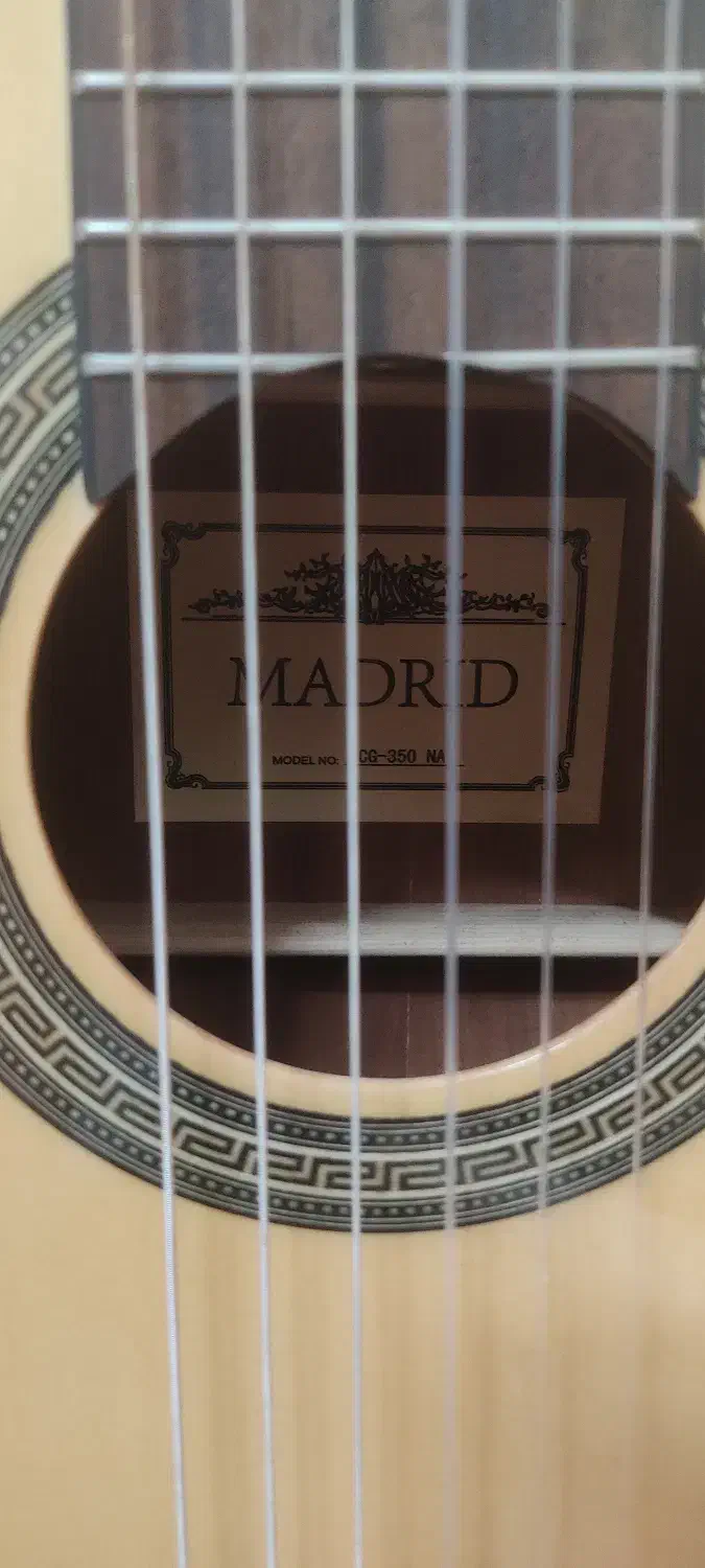 فروش گیتار|گیتار، بیس، امپلیفایر|تهران, آذری|دیوار