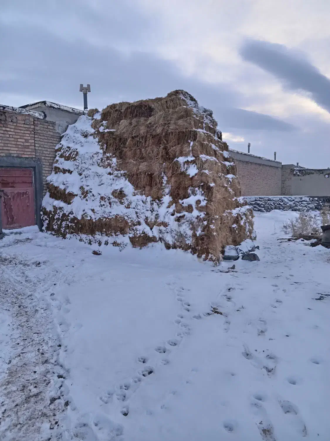 علف پشدوره اول|لوازم جانبی حیوانات|سراب, |دیوار