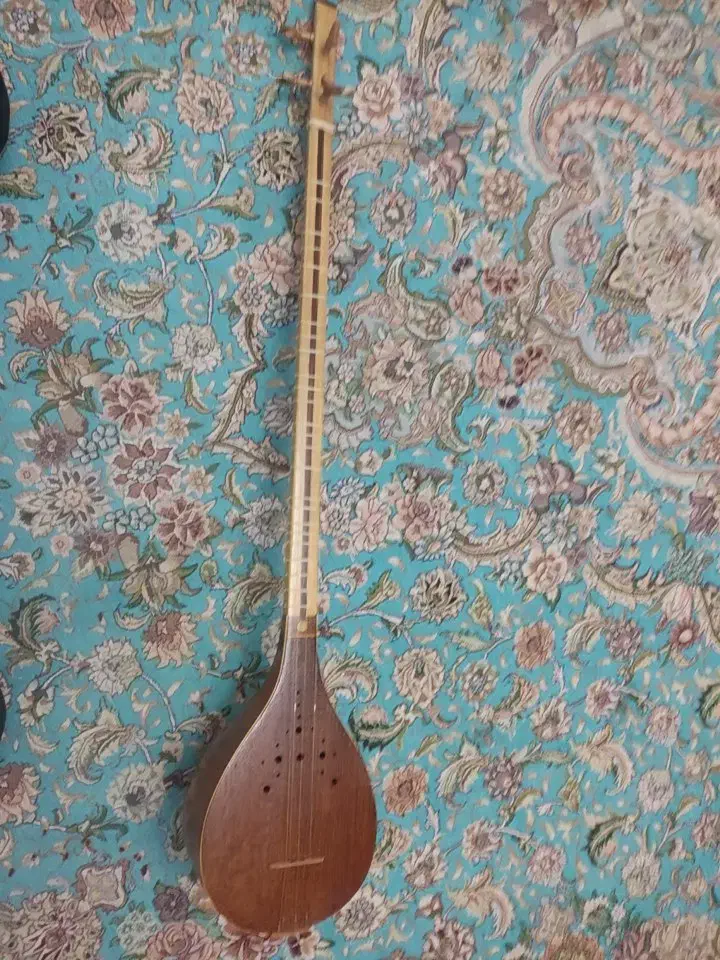 سه تار استاد مینو چهر|سازهای سنتی|تهران, دبستان|دیوار