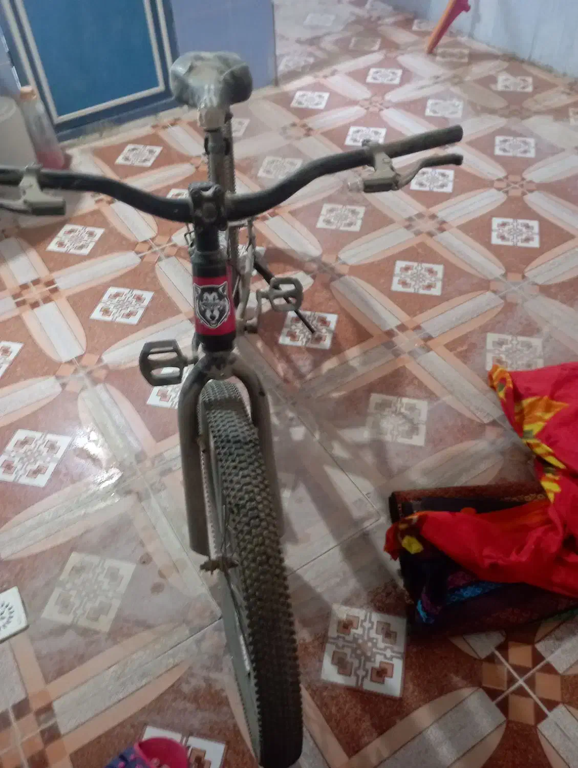 دوچرخه ۲۴|دوچرخه، اسکیت، اسکوتر|برازجان, |دیوار