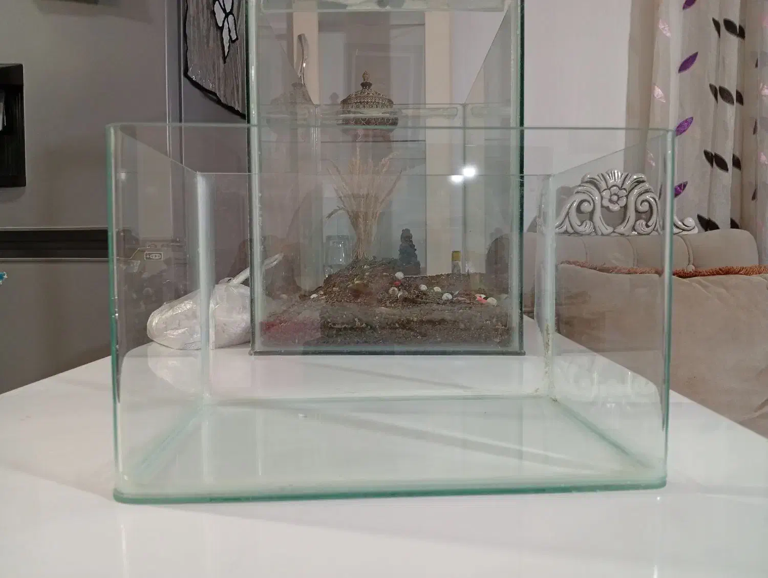 آکواریوم شیشه خم|ماهی|ارومیه, |دیوار