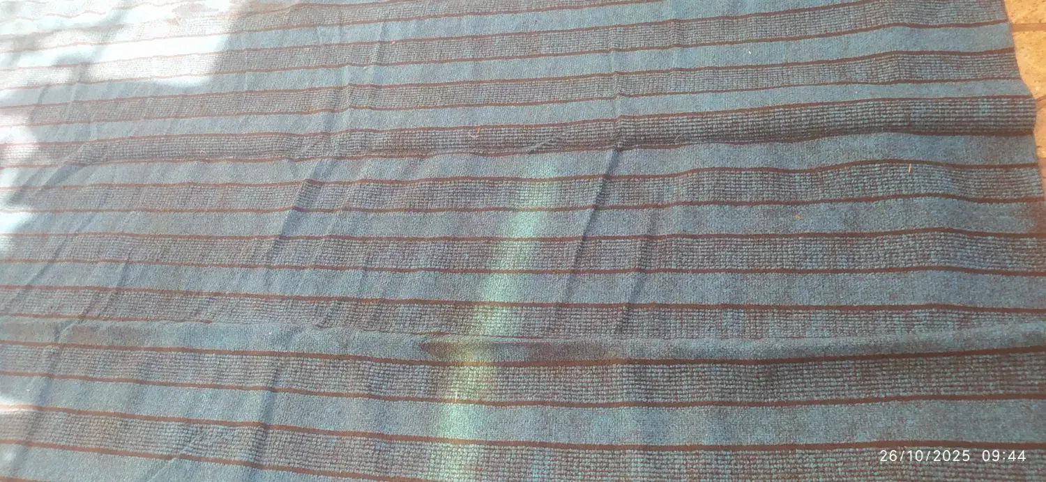 موکت|موکت|شیراز, مسلم|دیوار