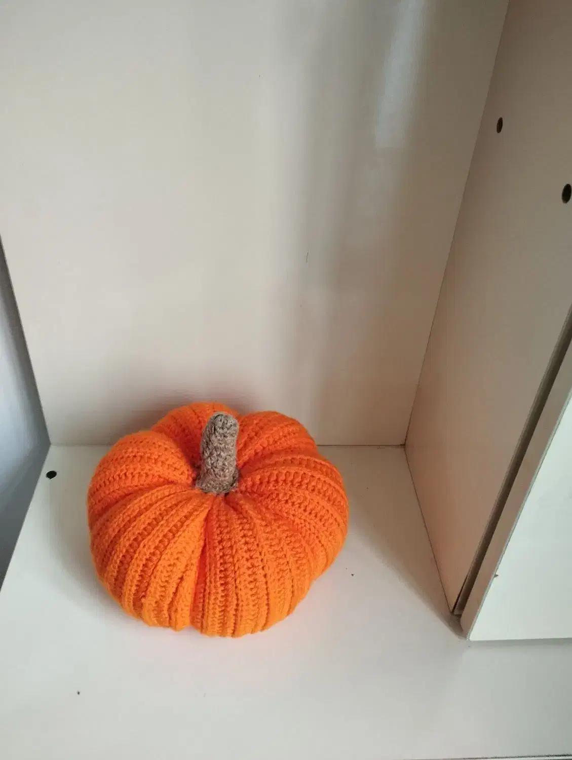 کدوتنبل|صنایع دستی و سایر لوازم تزئینی|اردبیل, |دیوار