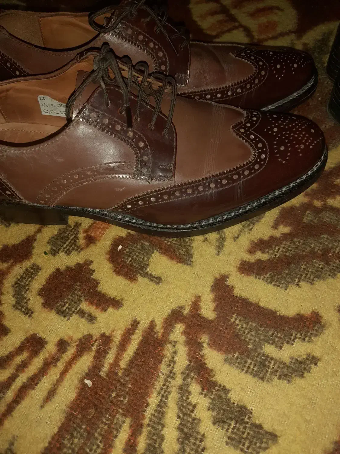 دو جفت کفش..با پرنده همراه قفس هم تعویض یض میکنم|کیف، کفش، کمربند|فاضل آباد, |دیوار