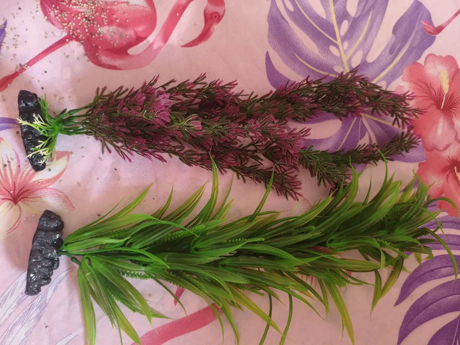 دکوراسیون داخل اکواریوم|ماهی|رشت, حاجی آباد|دیوار