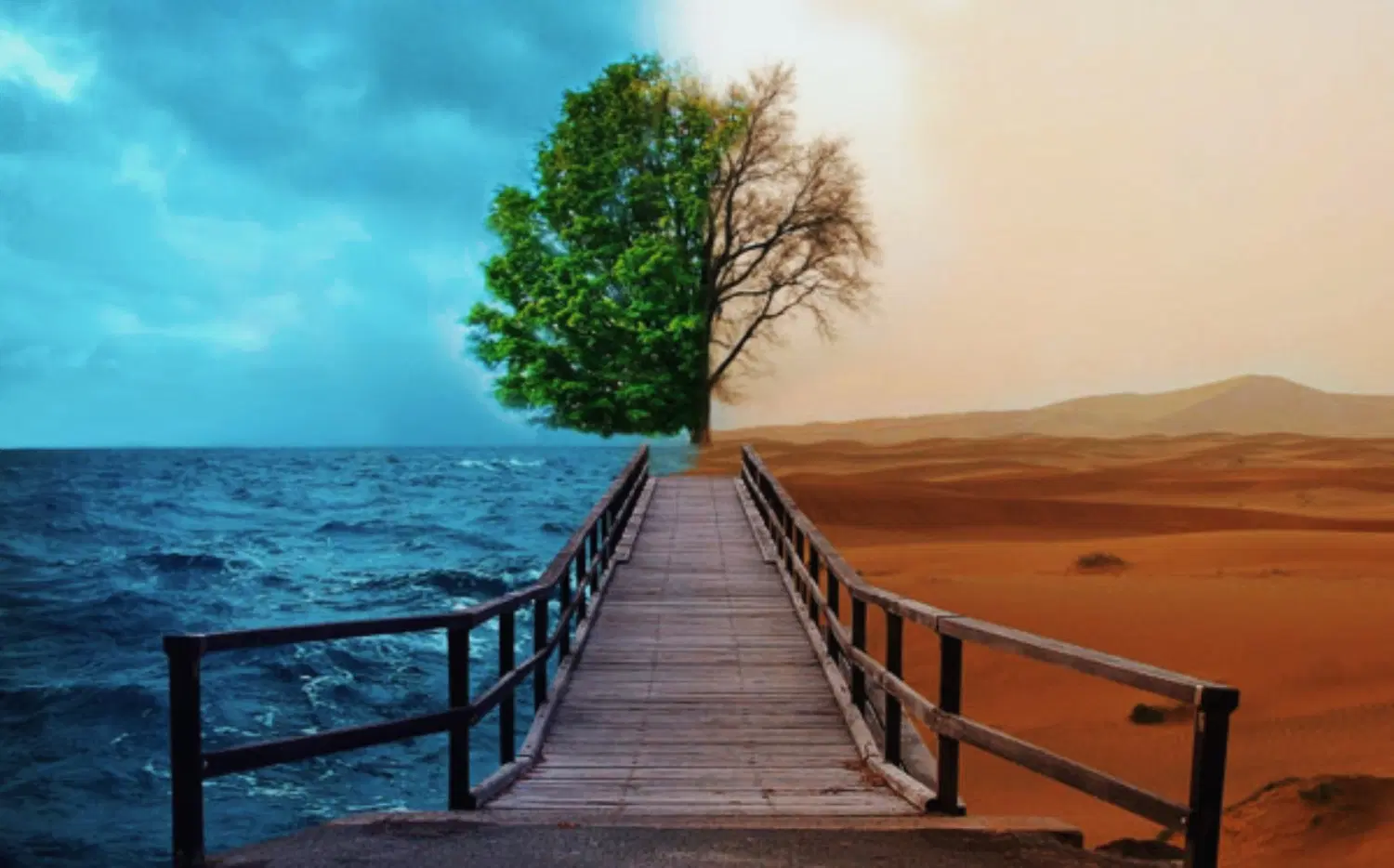 مرگ اعتیاد|خدمات آرایشگری و زیبایی|بیرجند, |دیوار