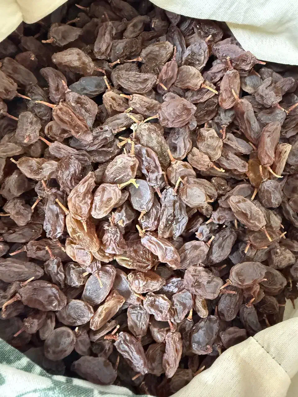 کشمش آفتابی ممتاز ارگانیک|خوردنی و آشامیدنی|بوشهر, |دیوار