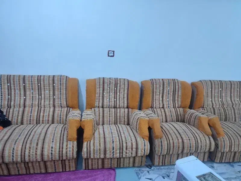 دکورآرایشگاه ارزون|آرایشگاه و سالن‌های زیبایی|باوی, |دیوار