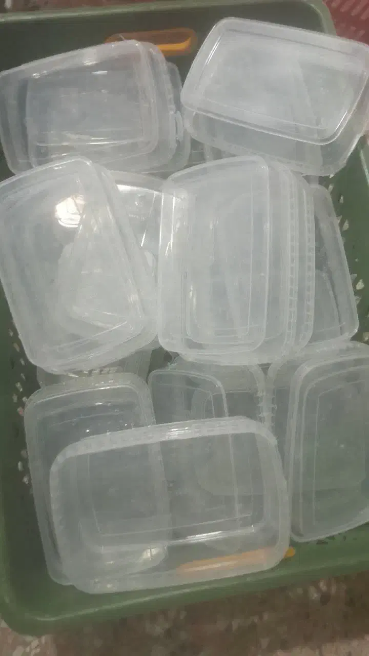 ظرف فریزری|ظروف نگهدارنده، پلاستیکی، یک‌بارمصرف|خرم‌آباد, |دیوار