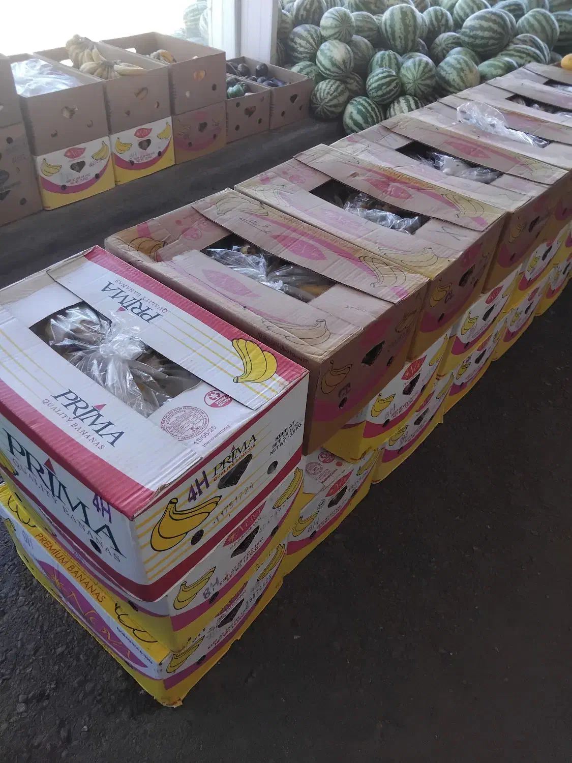 کارتن موز ی۳۰۰۰۰|ابزارآلات|بیرجند, |دیوار