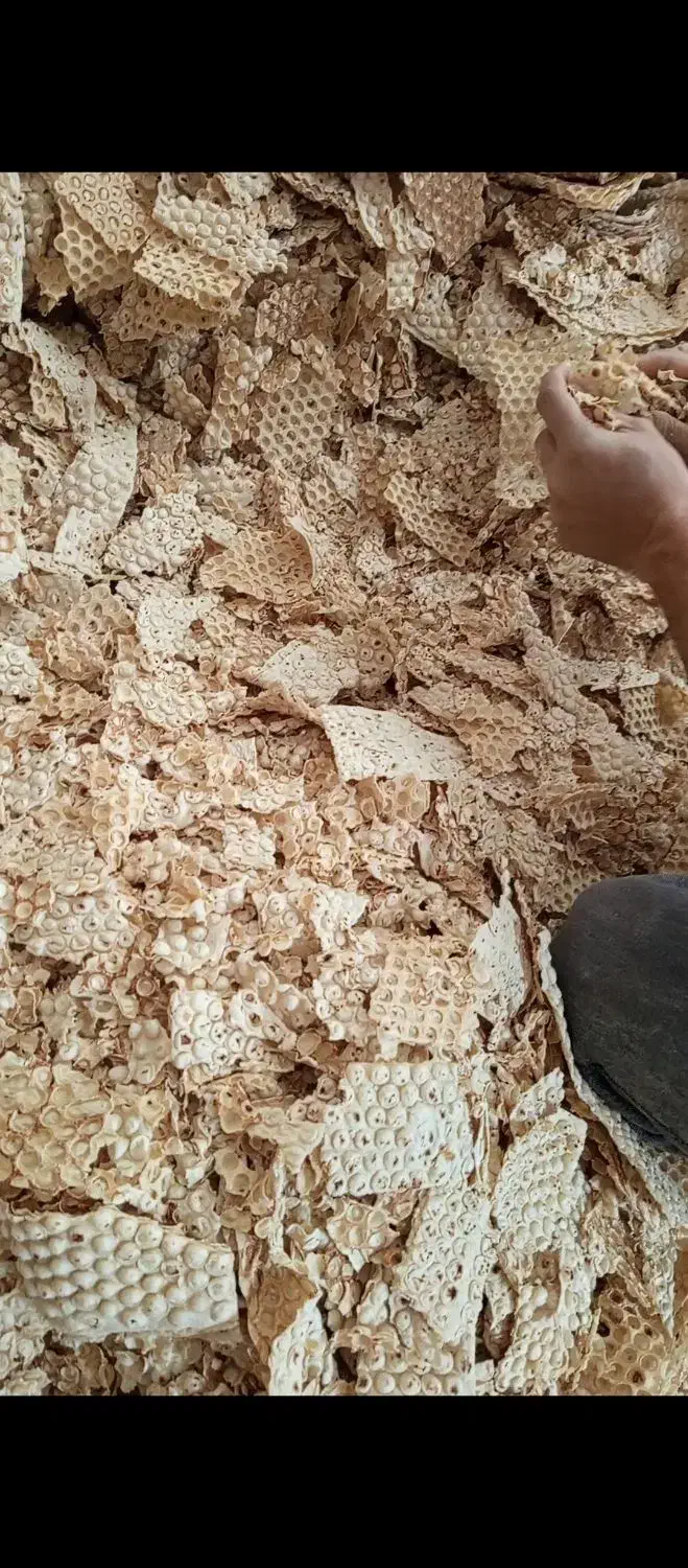 فروشنده|لوازم جانبی حیوانات|ری, هاشم‌آباد|دیوار