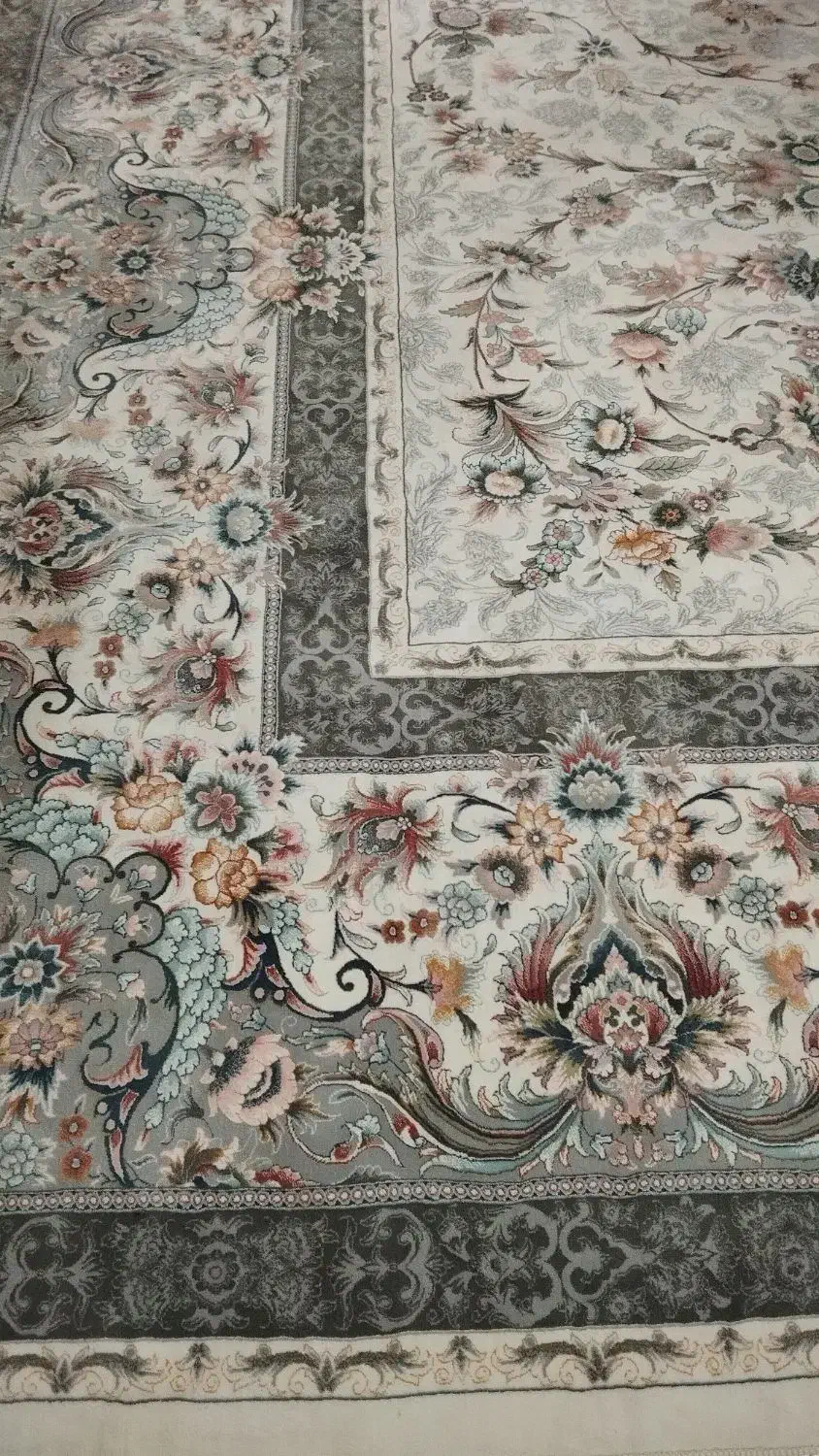 فرش ماشینی  ۱۲متری پاتریس|فرش|رشت, دیانتی|دیوار