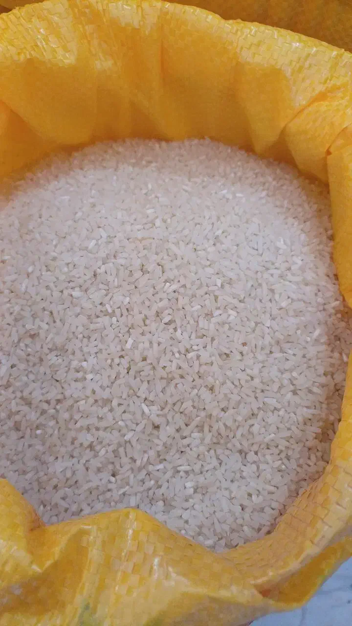 برنج سرلاشه طارم کشت دو  وهاشمی|خوردنی و آشامیدنی|کاشان, فاز ۲ ناجی آباد|دیوار