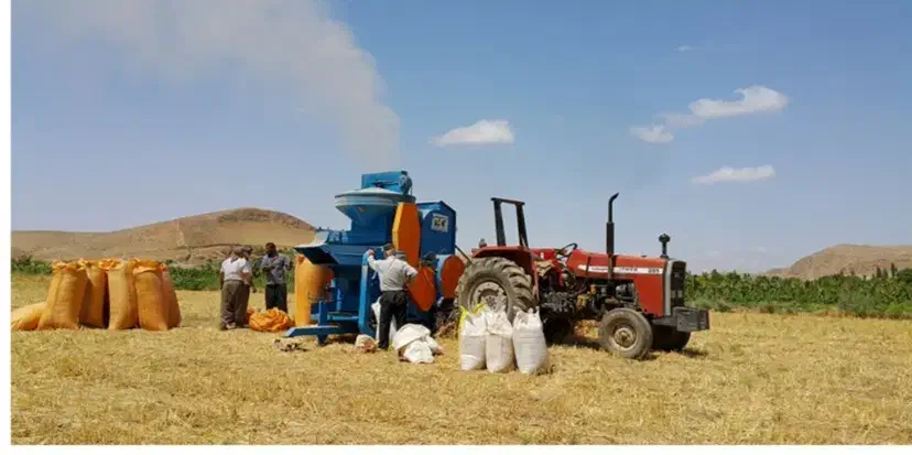 فروش گاه|لوازم جانبی حیوانات|مانه, |دیوار