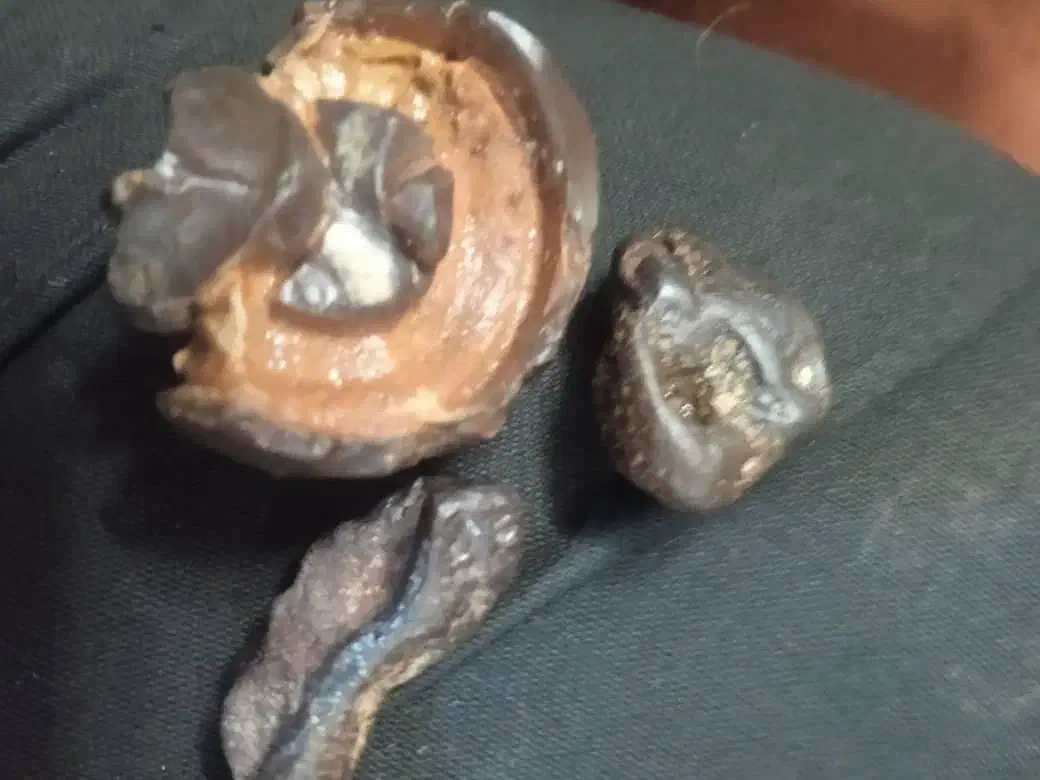 این چیه کی میدونه|کلکسیون اشیاء عتیقه|فولادشهر, A2|دیوار