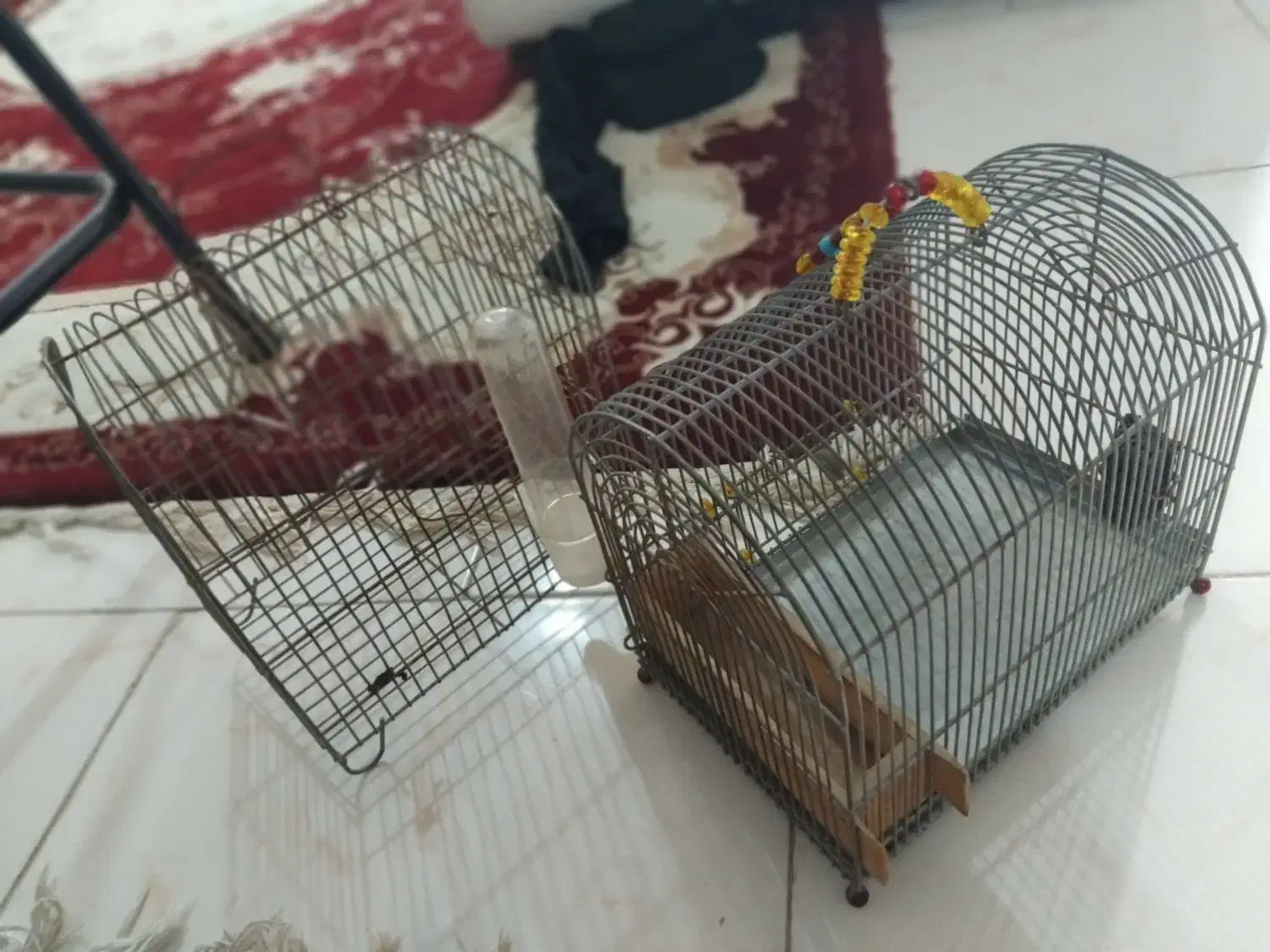 قفس پرنده|لوازم جانبی حیوانات|هشتگرد, شهرک ریحانه|دیوار