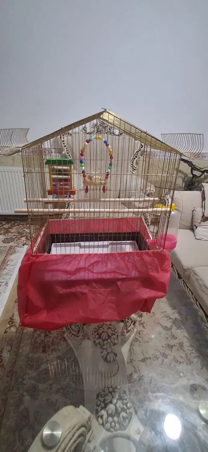 قفس پرنده|لوازم جانبی حیوانات|کرج, کرج نو|دیوار