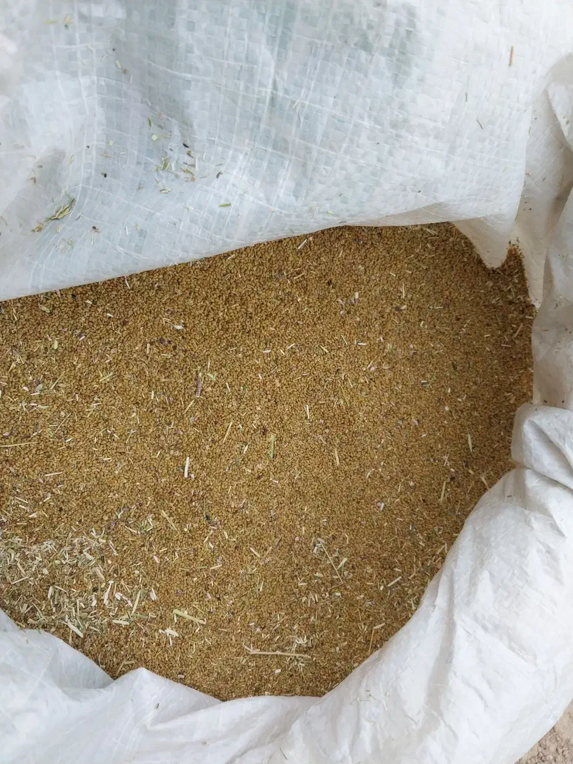 بذر یونجه|گل و گیاه طبیعی|فاروج, |دیوار