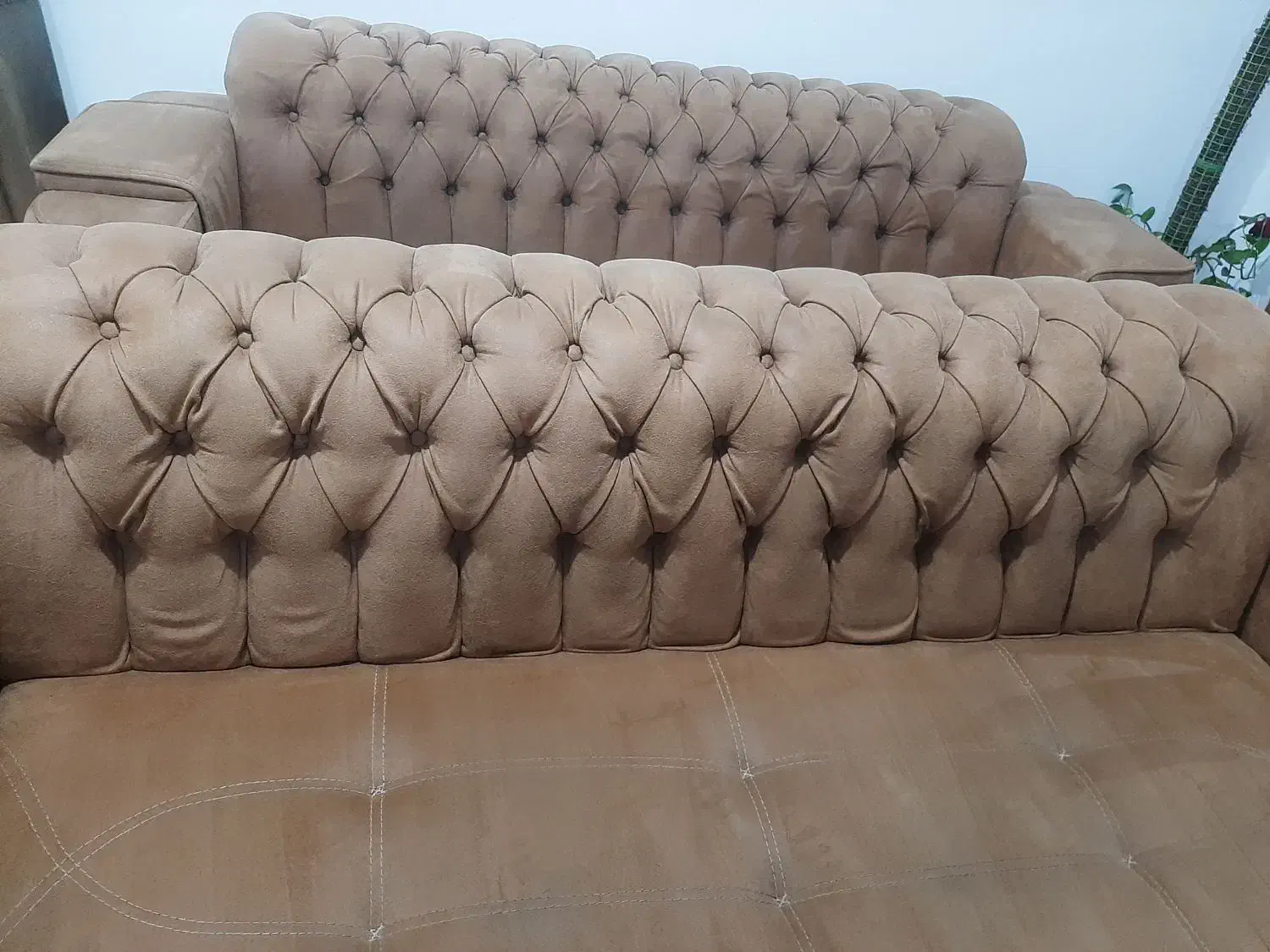 شستشوی مبلمان و فرش|خدمات نظافت|بندرعباس, |دیوار