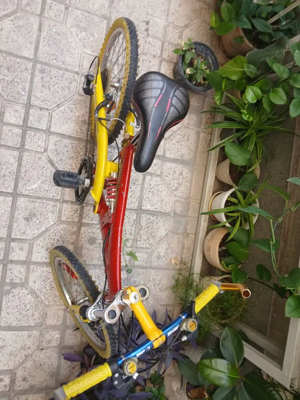 دوچرخه سایز 24 المپیا تایوانی|دوچرخه، اسکیت، اسکوتر|تهران, هفت چنار|دیوار