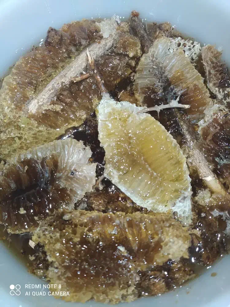 عسل زنبور ریز وحشی|خوردنی و آشامیدنی|اهواز, کیانشهر|دیوار
