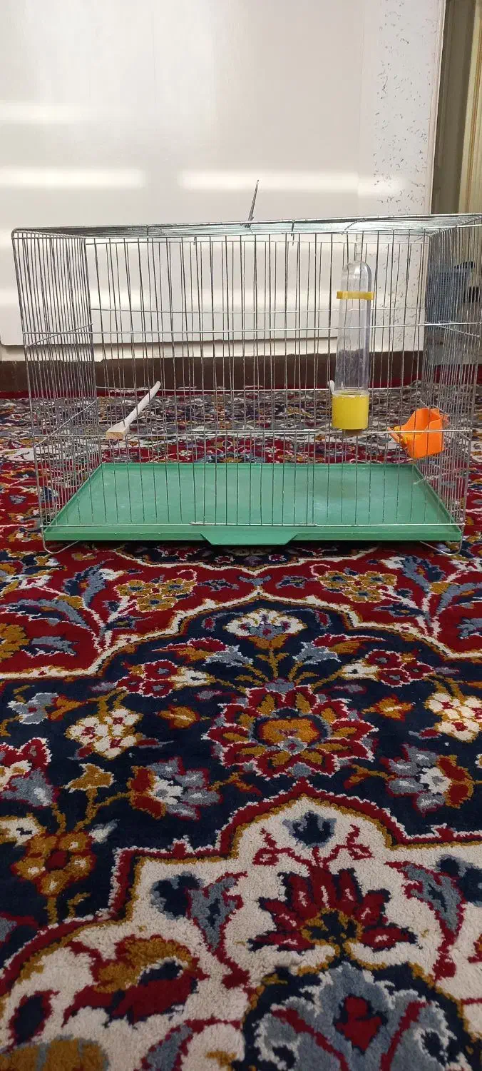 قفسه قناری|لوازم جانبی حیوانات|کرج, عظیمیه|دیوار