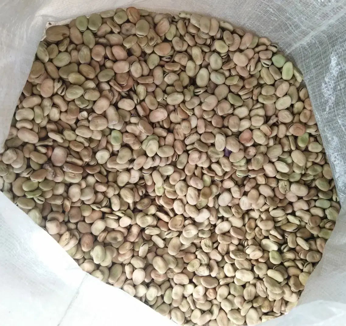 باقله باقالی باقلا|خوردنی و آشامیدنی|ششده و قره بلاغ, |دیوار