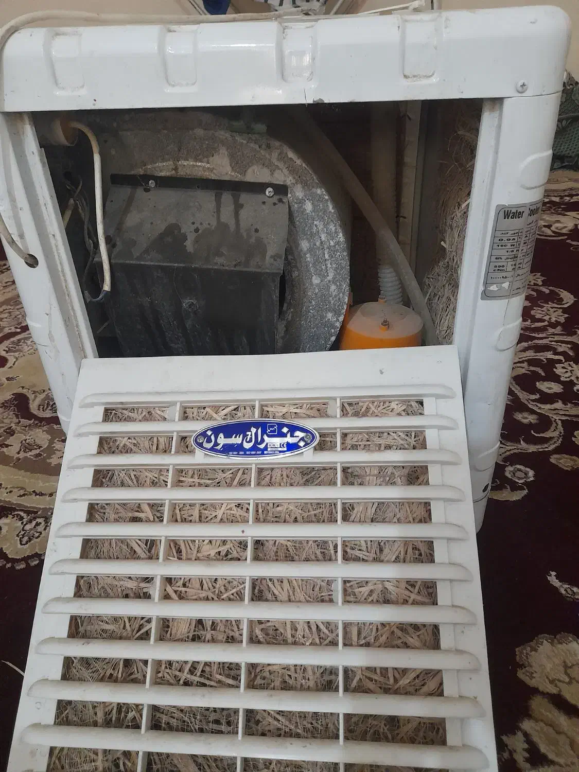 کولر ابی|کولر آبی|بندر دیر, |دیوار