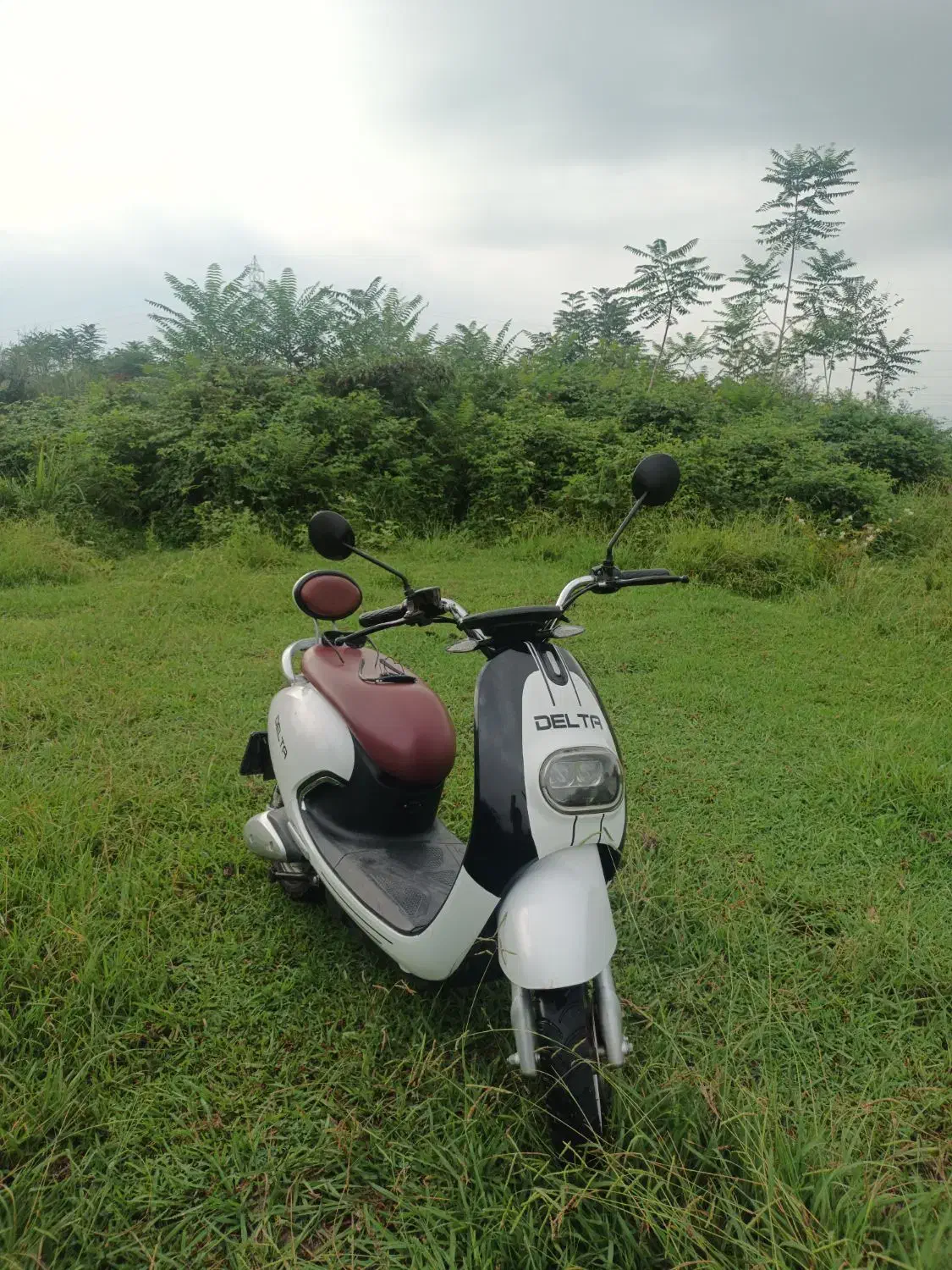 موتور برقی ۱۵۰۰ دلتا(شاهین موتور)|موتورسیکلت|رشت, پل تالشان|دیوار